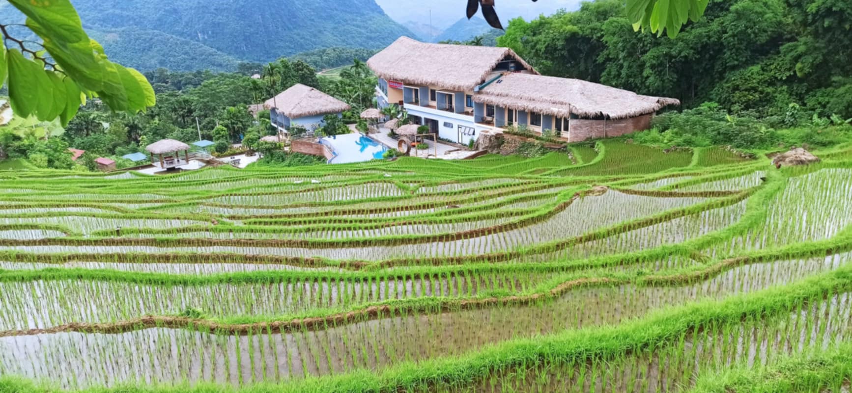HaiTuyet